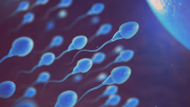 Sắp có thuốc ngừa thai cho nam giới đầu tiên trên thế giới - 1