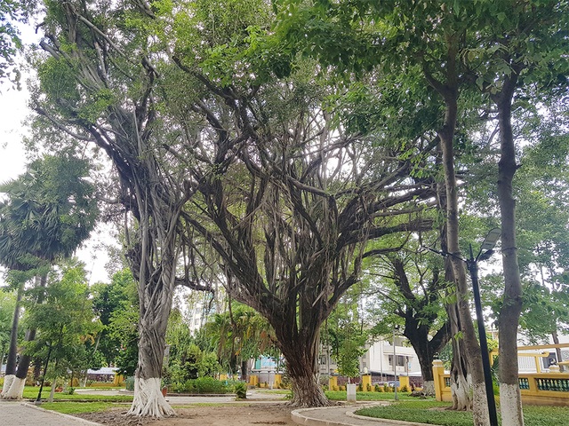 Thăm lăng Tổng trấn thành Gia Định xưa - 2