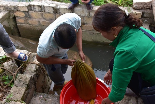 Nghề săn lộc trời kiếm hàng chục triệu đồng mỗi ngày ở Hải Phòng - 2 Nghề săn lộc trời kiếm hàng chục triệu đồng mỗi ngày ở Hải Phòng - 2