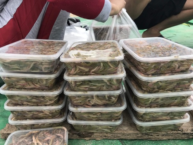 Nghề săn lộc trời kiếm hàng chục triệu đồng mỗi ngày ở Hải Phòng - 8 Nghề săn lộc trời kiếm hàng chục triệu đồng mỗi ngày ở Hải Phòng - 8