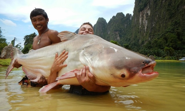 Nước sông Mekong đột nhiên đổi sang màu lạ - 2