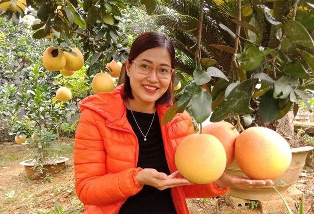 Cận cảnh vườn bưởi “tiến vua” tiền tỷ của ông nông dân xứ Thanh - 8 Cận cảnh vườn bưởi “tiến vua” tiền tỷ của ông nông dân xứ Thanh - 8