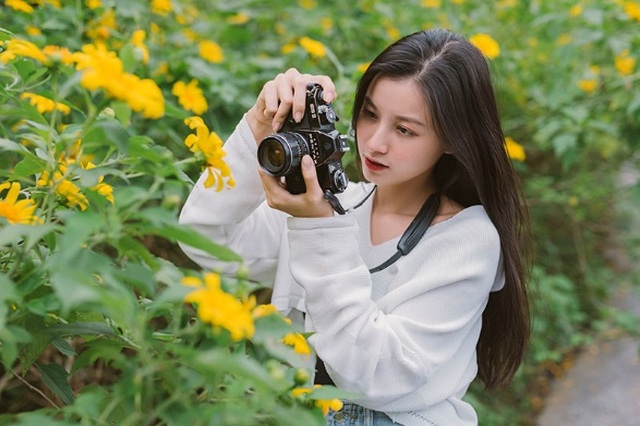 Thiếu nữ Bắc Giang “khoe” nét đẹp trong veo bên hoa dã quỳ - 3
