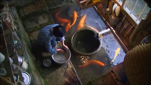 Đến ngôi làng có nước sạch đến mức người dân rửa bát, nấu cơm ngay ở kênh mương nuôi cá - 4 Đến ngôi làng có nước sạch đến mức người dân rửa bát, nấu cơm ngay ở kênh mương nuôi cá - 4