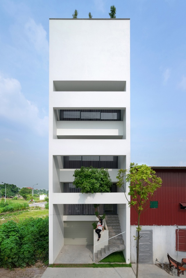 Trồng tre ngay giữa nhà, ngôi nhà Bắc Ninh gây ấn tượng mạnh bởi thiết kế độc đáo - 1 Trồng tre ngay giữa nhà, ngôi nhà Bắc Ninh gây ấn tượng mạnh bởi thiết kế độc đáo - 1