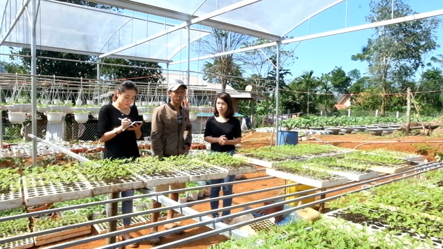 Trồng hơn 8.000 chậu hoa, đôi vợ chồng trẻ kỳ vọng kiếm trăm triệu đồng dịp Tết - 11 Trồng hơn 8.000 chậu hoa, đôi vợ chồng trẻ kỳ vọng kiếm trăm triệu đồng dịp Tết - 11