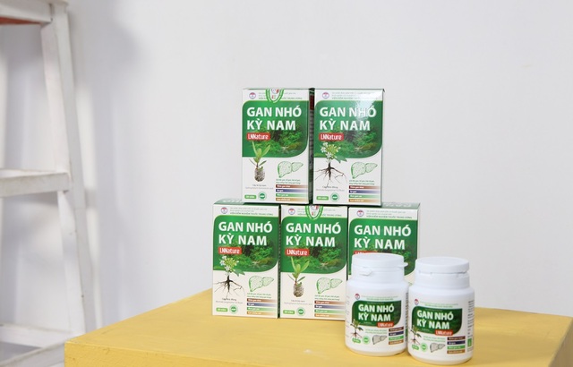 Gan Nhó Kỳ Nam – Sự kết hợp hoàn hảo từ hai vị thuốc quý Nhó đông và Bí Kỳ Nam - 3 Gan Nhó Kỳ Nam – Sự kết hợp hoàn hảo từ hai vị thuốc quý Nhó đông và Bí Kỳ Nam - 3