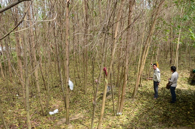 hinh-1-1575447551424.jpg