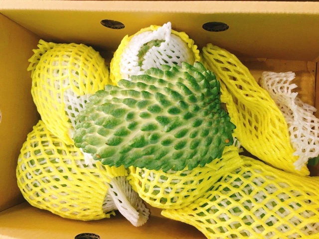 Quả na khổng lồ rực mùi sầu riêng, của hiếm lùng khắp Hà thành - 1 Quả na khổng lồ rực mùi sầu riêng, của hiếm lùng khắp Hà thành - 1