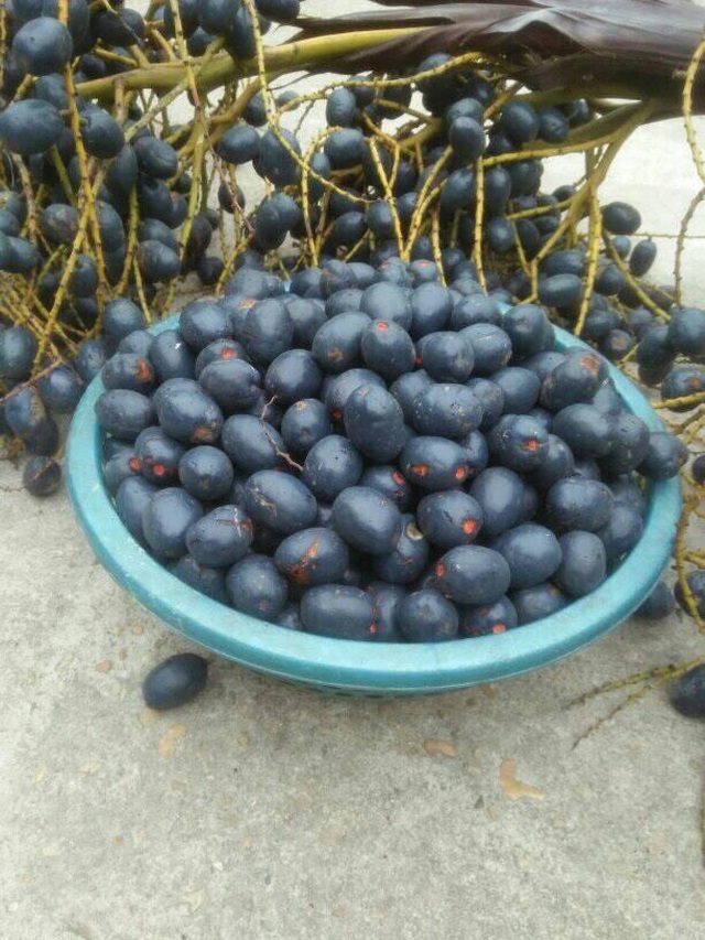 quaco-3-1575442544087.jpg