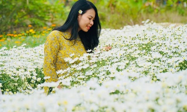 Mua đất từ thủ đô về Thanh Hóa trồng cúc họa mi, kiếm bộn tiền - 4 Mua đất từ thủ đô về Thanh Hóa trồng cúc họa mi, kiếm bộn tiền - 4