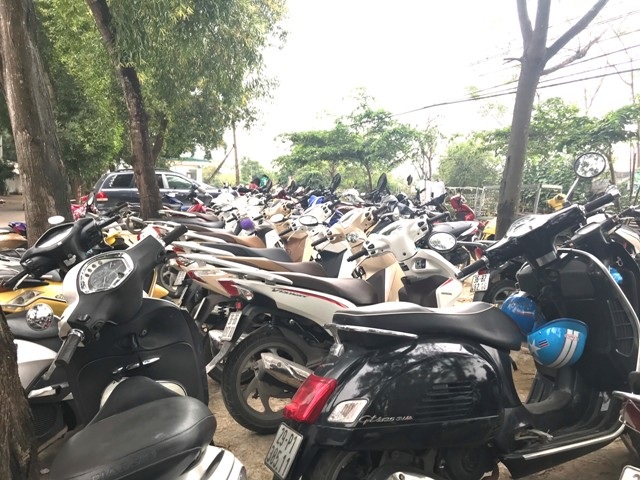 Mua đất từ thủ đô về Thanh Hóa trồng cúc họa mi, kiếm bộn tiền - 5 Mua đất từ thủ đô về Thanh Hóa trồng cúc họa mi, kiếm bộn tiền - 5