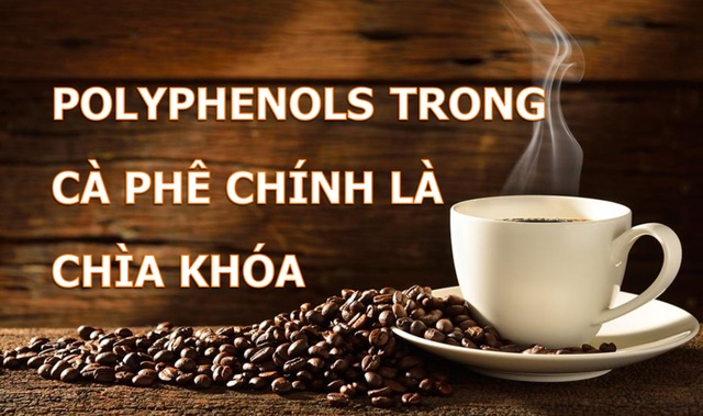 Cà phê giúp phòng ngừa căn bệnh gần 1/5 người Việt đang mắc phải - 2 Cà phê giúp phòng ngừa căn bệnh gần 1/5 người Việt đang mắc phải - 2