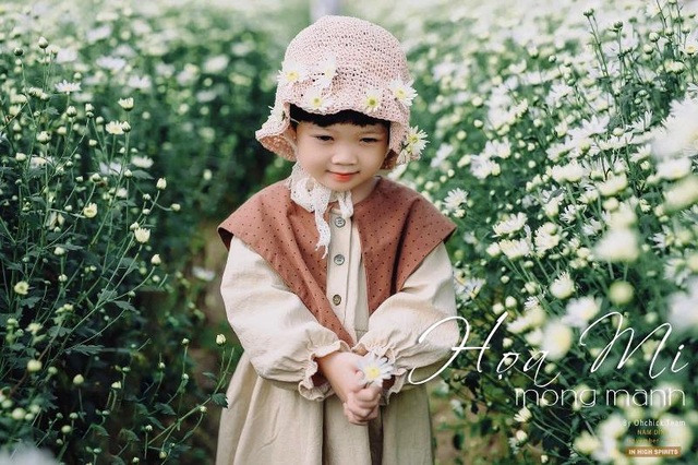 Bạn trẻ đổ xô đến vườn cúc họa mi “độc nhất” Nam Định chụp ảnh - 4 Bạn trẻ đổ xô đến vườn cúc họa mi “độc nhất” Nam Định chụp ảnh - 4