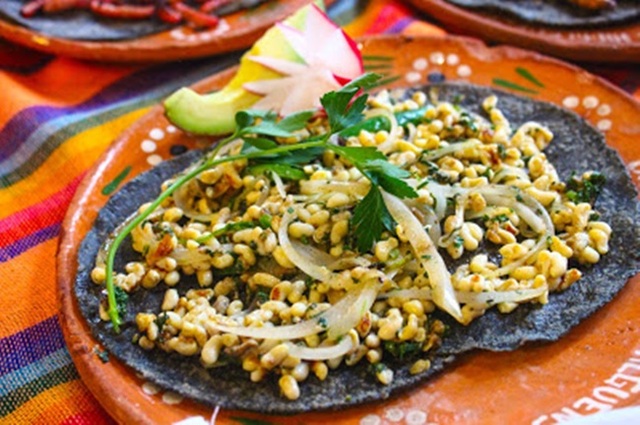 Mỏ vàng dưới rễ cây, lấy về bán hơn 2 triệu đồng/kg thành món... ngon quên sầu - 7 Mỏ vàng dưới rễ cây, lấy về bán hơn 2 triệu đồng/kg thành món... ngon quên sầu - 7