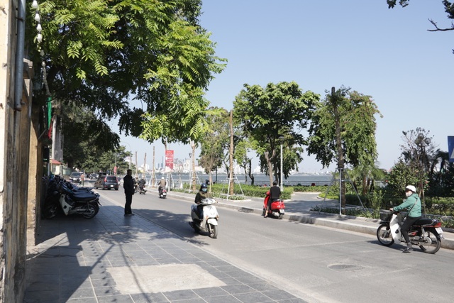 Hà Nội: Diện mạo mới của phố Trích Sài sau khi đánh chuyển 96 cây hoa sữa - 1 Hà Nội: Diện mạo mới của phố Trích Sài sau khi đánh chuyển 96 cây hoa sữa - 1