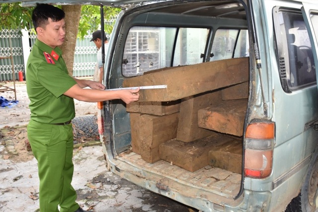 Cuối năm gia tăng tình hình vận chuyển, buôn bán gỗ lậu Cuối năm gia tăng tình hình vận chuyển, buôn bán gỗ lậu