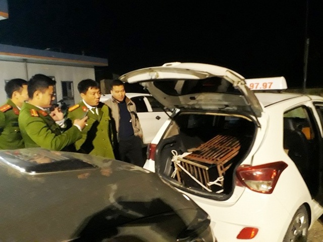 Bỏ cá thể gấu nặng 100kg sau cốp taxi mang đi tiêu thụ - 1 Bỏ cá thể gấu nặng 100kg sau cốp taxi mang đi tiêu thụ - 1