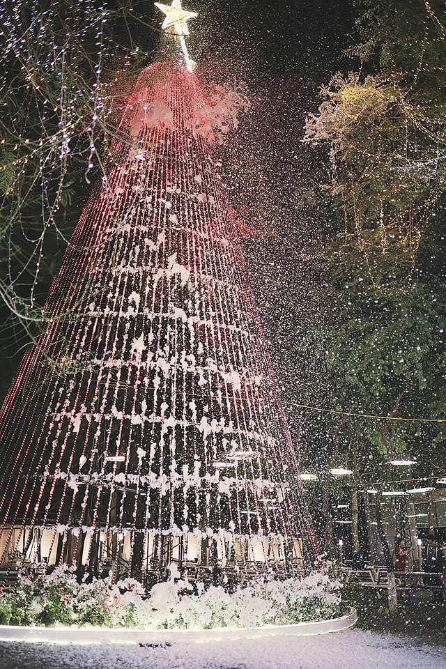 Trường đầu tư máy phun tuyết nhân tạo, sinh viên tha hồ sống ảo mùa Noel - 2 Trường đầu tư máy phun tuyết nhân tạo, sinh viên tha hồ sống ảo mùa Noel - 2