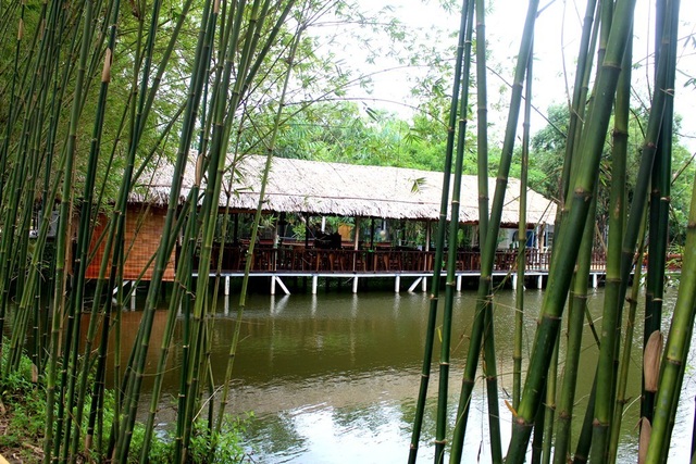 “Check-in” rừng tre nằm giữa Hội An và Đà Nẵng