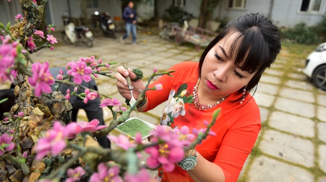 Hà Nội: Chi nửa tỷ đồng vẫn chưa mua được cây đào làm bằng đá quý - 5 Hà Nội: Chi nửa tỷ đồng vẫn chưa mua được cây đào làm bằng đá quý - 5