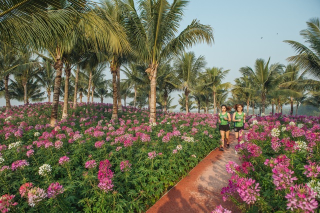 Giải chạy Ecopark Marathon 2020 quay trở lại với cung đường xanh đẹp như cổ tích - 3 Giải chạy Ecopark Marathon 2020 quay trở lại với cung đường xanh đẹp như cổ tích - 3