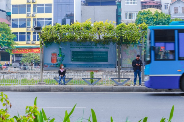 Người Hà Nội thích thú với những “khu vườn treo” ấn tượng trên nóc trạm chờ xe buýt - 1 Người Hà Nội thích thú với những “khu vườn treo” ấn tượng trên nóc trạm chờ xe buýt - 1