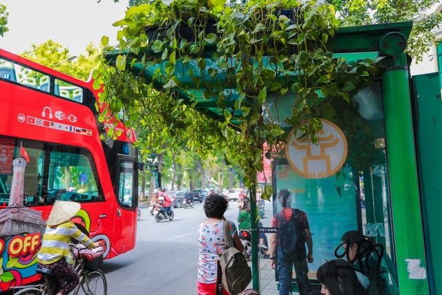 Người Hà Nội thích thú với những “khu vườn treo” ấn tượng trên nóc trạm chờ xe buýt - 3 Người Hà Nội thích thú với những “khu vườn treo” ấn tượng trên nóc trạm chờ xe buýt - 3