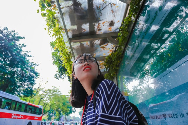 Người Hà Nội thích thú với những “khu vườn treo” ấn tượng trên nóc trạm chờ xe buýt - 10 Người Hà Nội thích thú với những “khu vườn treo” ấn tượng trên nóc trạm chờ xe buýt - 10