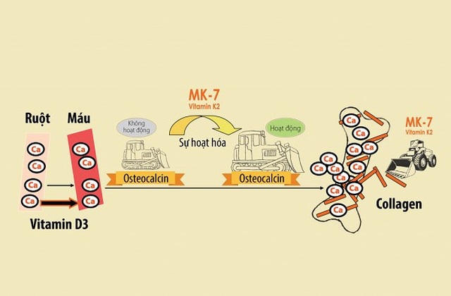 Chuyên gia hướng dẫn mẹ cách chọn Vitamin D3 cho con - 1 Chuyên gia hướng dẫn mẹ cách chọn Vitamin D3 cho con - 1