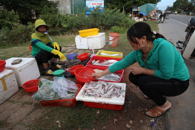 Ngư dân kiếm tiền triệu từ cá khoai những ngày cuối năm - 4 Ngư dân kiếm tiền triệu từ cá khoai những ngày cuối năm - 4