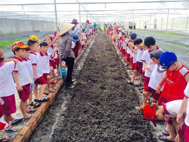 Bỏ việc ngân hàng lương cao về trồng rau 5 không lãi 100 triệu/tháng - 4 Bỏ việc ngân hàng lương cao về trồng rau 5 không lãi 100 triệu/tháng - 4