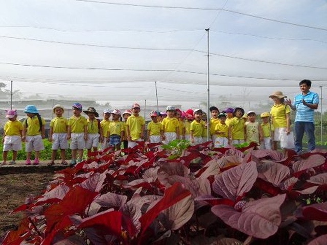 Bỏ việc ngân hàng lương cao về trồng rau 5 không lãi 100 triệu/tháng - 5 Bỏ việc ngân hàng lương cao về trồng rau 5 không lãi 100 triệu/tháng - 5