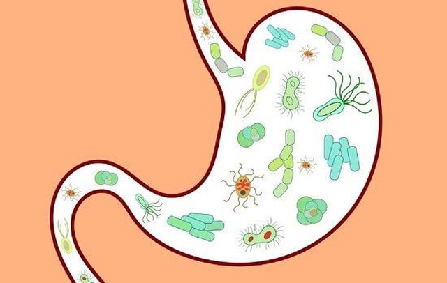 Không lo loạn khuẩn đường ruột ở trẻ em vì đã có BEBUGOLD! - 1 Không lo loạn khuẩn đường ruột ở trẻ em vì đã có BEBUGOLD! - 1