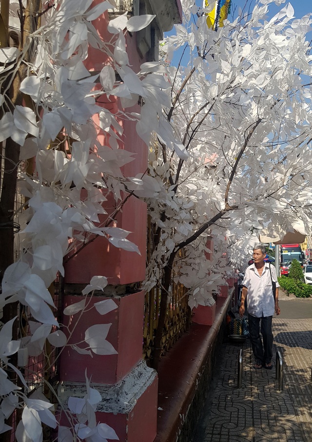 Nhà thờ đón giáng sinh.jpg Nhà thờ đón giáng sinh.jpg