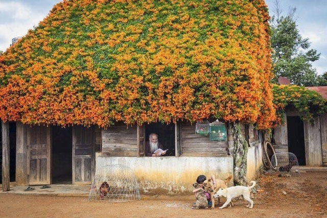 Đã mắt với những ngôi nhà phủ đầy hoa, ngỡ chỉ có trong cổ tích ở Việt Nam - 2