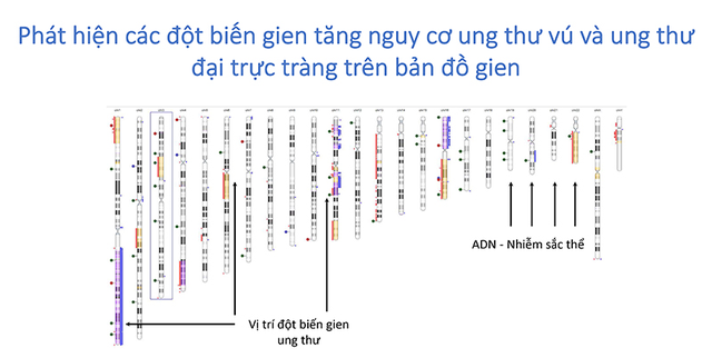 Bệnh viện ngoài công lập đầu tiên ở phía Bắc hội nhập nền y học thế giới về giải mã 22.000 gien  ung thư - 4