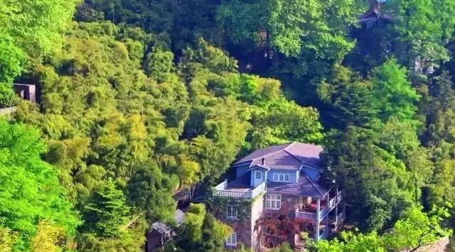 Người đàn ông biến ngôi nhà ma ám bỏ hoang thành dinh thự như tranh vẽ - 11 Người đàn ông biến ngôi nhà ma ám bỏ hoang thành dinh thự như tranh vẽ - 11