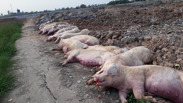 Khủng hoảng chưa từng có, 10 tỷ USD lung lay, triệu dân Việt lo sợ - 2 Khủng hoảng chưa từng có, 10 tỷ USD lung lay, triệu dân Việt lo sợ - 2