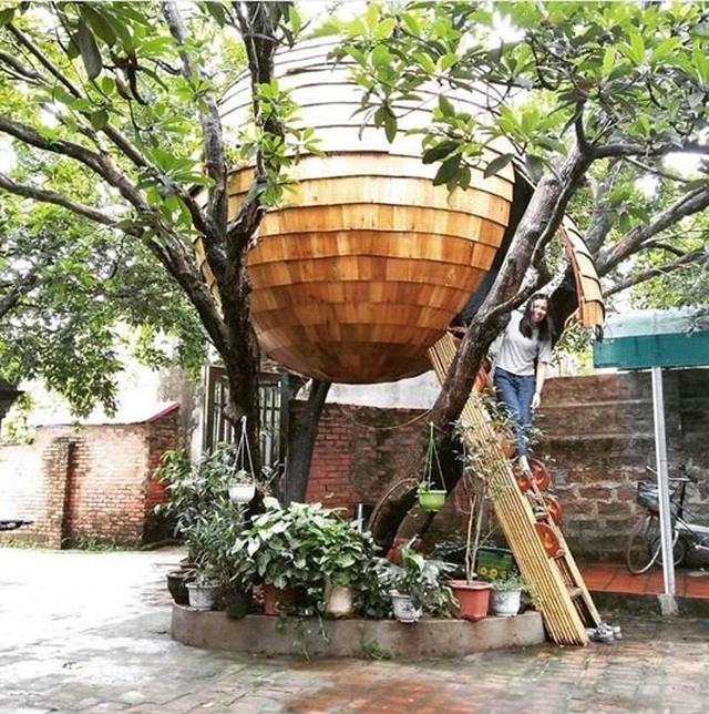 Cận cảnh những ngôi nhà “treo mình” trên cây, “độc” nhất Việt Nam - 6 Cận cảnh những ngôi nhà “treo mình” trên cây, “độc” nhất Việt Nam - 6