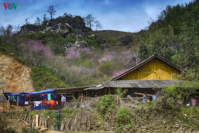 Sa Pa đẹp ngất ngây khi mùa xuân về - 5