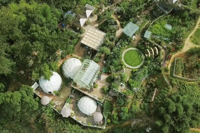 Rời thành phố chật chội, người phụ nữ về quê làm vườn và tạo nên kiệt tác đẹp không ngờ - 3 Rời thành phố chật chội, người phụ nữ về quê làm vườn và tạo nên kiệt tác đẹp không ngờ - 3