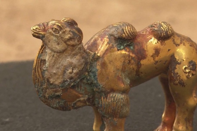 Tìm thấy tượng lạc đà bằng vàng nguyên khối gần lăng mộ Tần Thủy Hoàng - 2