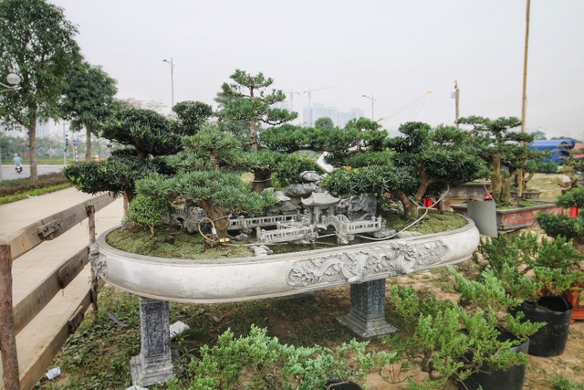Chuyện lạ Việt Nam: Cá thích đánh răng, ếch không đầu vẫn sống - 5 Chuyện lạ Việt Nam: Cá thích đánh răng, ếch không đầu vẫn sống - 5