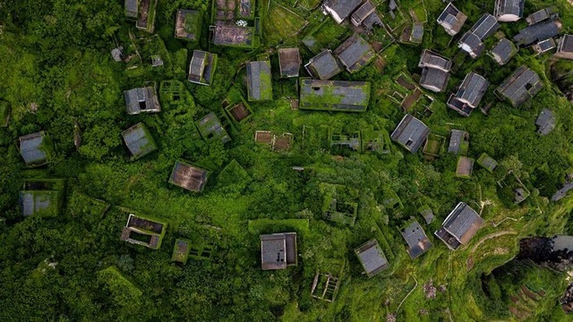 Ngôi làng bỏ hoang bất ngờ gây “sốt” bởi những nhà cây đẹp mê mẩn như cổ tích - 1 Ngôi làng bỏ hoang bất ngờ gây “sốt” bởi những nhà cây đẹp mê mẩn như cổ tích - 1