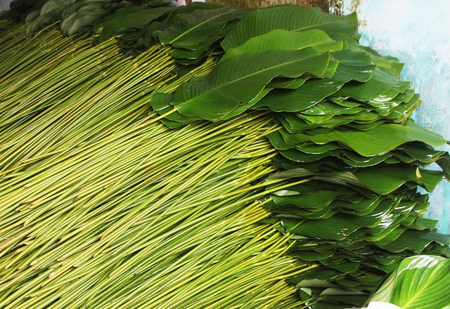 Làng lá dong lớn nhất Hà Nội phấn khởi vì bội thu lại được giá - 2 Làng lá dong lớn nhất Hà Nội phấn khởi vì bội thu lại được giá - 2