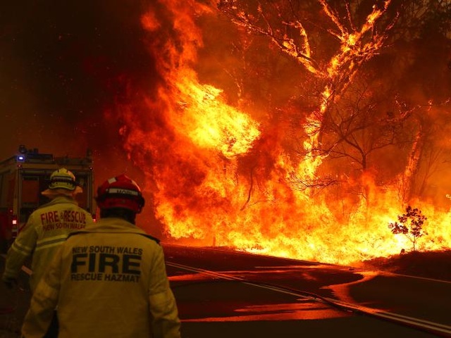 Australia đón trận mưa “vàng” giữa thảm kịch cháy rừng - Ảnh minh hoạ 12