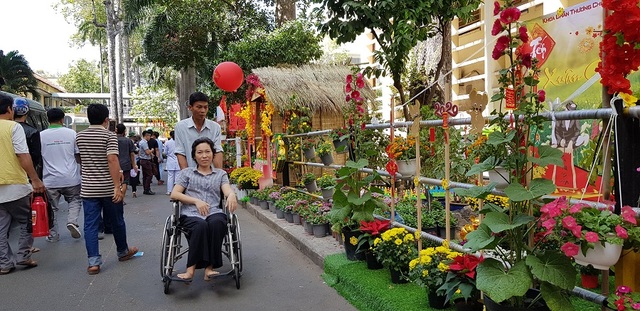 Mê mẩn với đường hoa ngập tràn sắc xuân giữa bệnh viện - 2 Mê mẩn với đường hoa ngập tràn sắc xuân giữa bệnh viện - 2