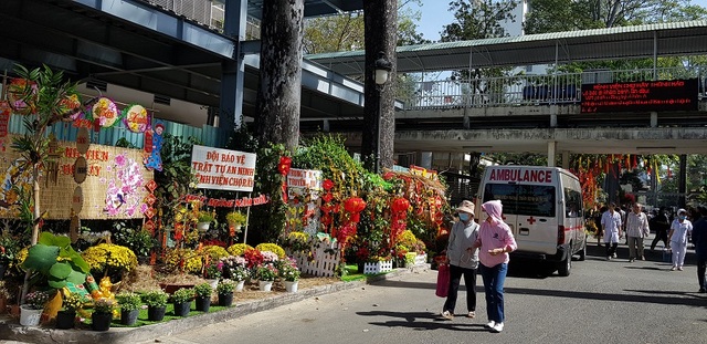 Mê mẩn với đường hoa ngập tràn sắc xuân giữa bệnh viện - 10