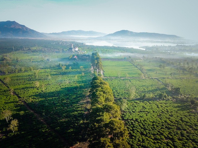 “Lung linh” ngôi chùa cổ nhìn từ trên cao - 6 “Lung linh” ngôi chùa cổ nhìn từ trên cao - 6